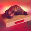Sculptures &raquo; Phenisaurs